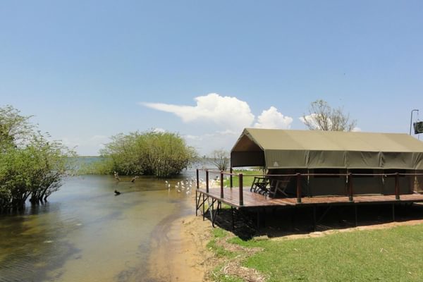 Ngamba Island Tent Exterior Ngamba Island Tent Exterior