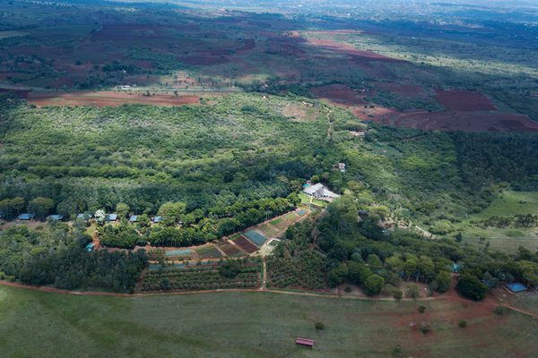 Ngorongoro Farm House HERO Ngorongoro Farm House HERO
