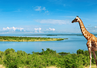 Nile River Uganda Canva Pro Nile River Uganda Canva Pro