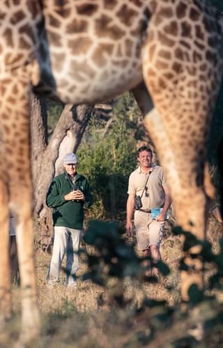 Nkonzi Walking Safari