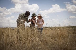 Nomad Tanzania Family Walking Safari In The Serengeti Nomad Tanzania Family Walking Safari In The Serengeti