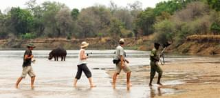 North Luanwa Walking Safari