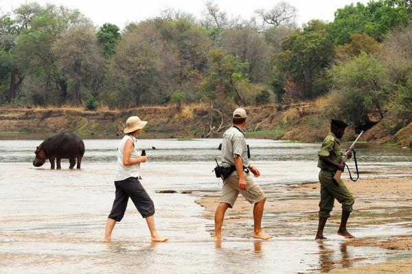 North Luangwa Walking Safari Zambia North Luangwa Walking Safari Zambia