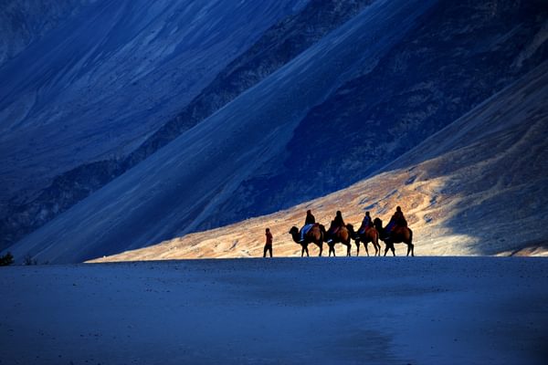 Nubra Valley Nubra Valley