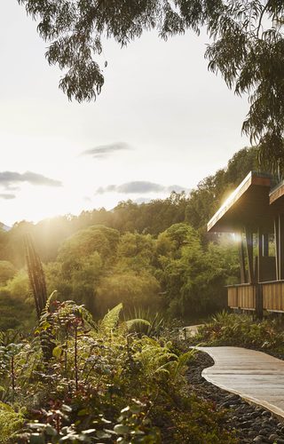 Oo Gorillas Nest Exterior Pathway 1320 Master Oo Gorillas Nest Exterior Pathway 1320 Master