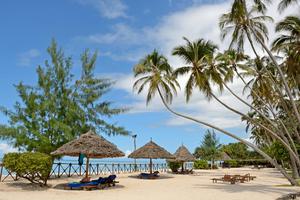 Ocean  Paradise Lounger Area