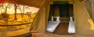 Oddballs Camp Tent Interior