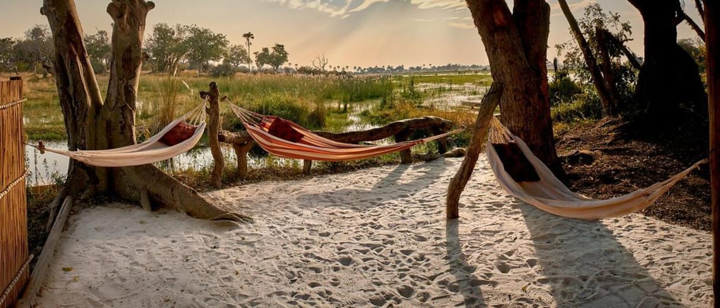 Oddballs Hammock Views