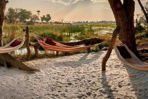 Oddballs Hammock Views