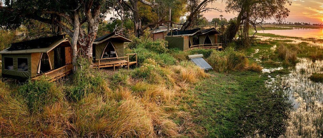 Oddballs Botswana Okavango Wetu124