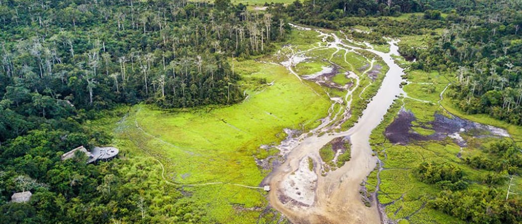 Odzala Kokoua National Park