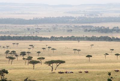 Offbeat Safaris Masai Mara