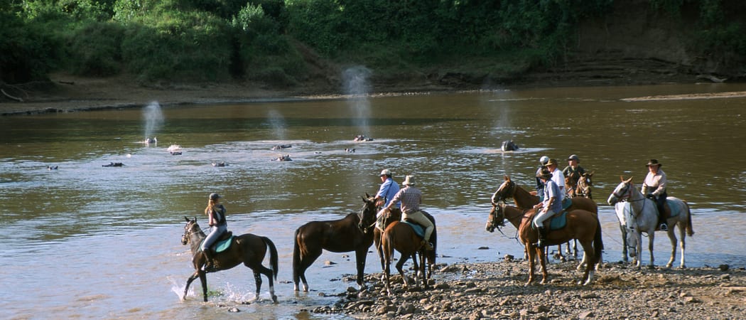 Offbeat Safaris Riding with hippos, Mara, Kenya