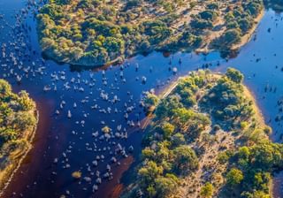 Okavango Delta Okavango Delta