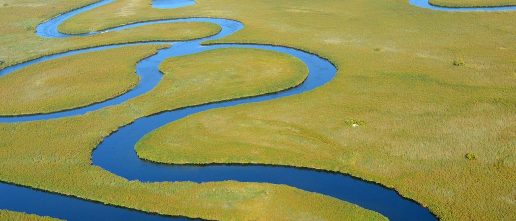 Okavango Delta