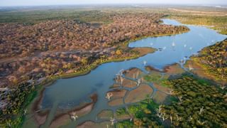 Okavango Delta Aeriel View Okavango Delta Aeriel View