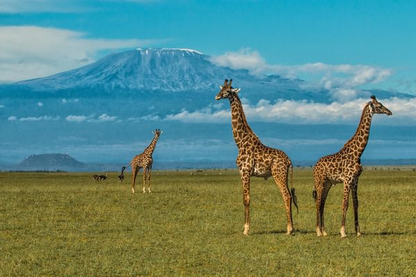 Ol Donyo Lodge kilimanjaro Ol Donyo Lodge kilimanjaro