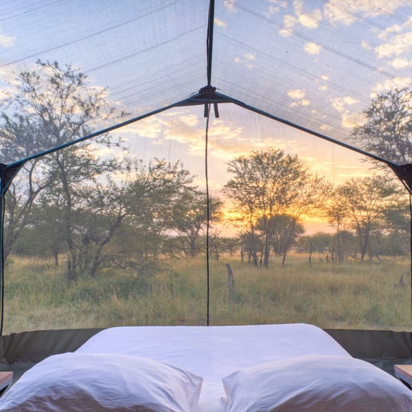 Olakira Camp Tanzania camp webiste