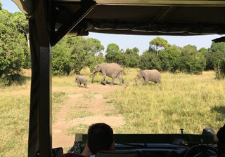 On Safari At Il Moran Elephants On Safari At Il Moran Elephants