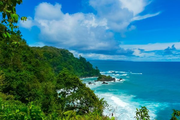 Osa Peninsula Blog header Osa Peninsula Blog header