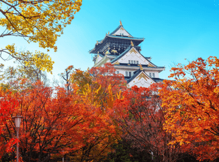 Osaka Castle Autumn Osaka Castle Autumn