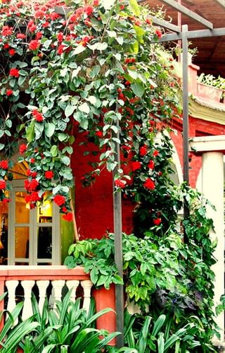 Outside Ranjits Svaasa Outside Ranjits Svaasa