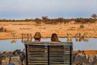 Overlooking A Waterhole In Etosha Copy Overlooking A Waterhole In Etosha Copy