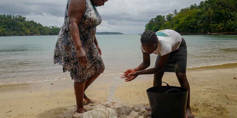 Principe Turtle Conservation Project Principe Turtle Conservation Project