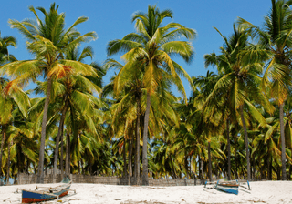 Pangane Beach Mozambique Canva Pro Pangane Beach Mozambique Canva Pro