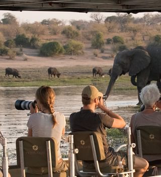 Pangolin Photo Safaris – Photo Boat Pangolin Photo Safaris – Photo Boat