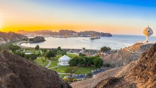 Panoroma muscat canva pro Panoroma muscat canva pro