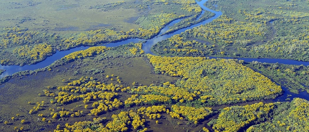 Pantanal wetlands Brazil