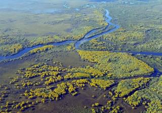 Pantanal wetlands Brazil