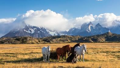 Patagonia with the Torres Del Paine