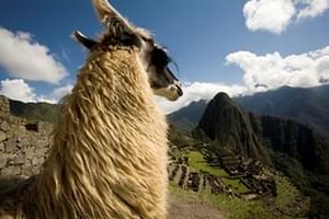 Peru Day 7 Machu Picchu