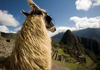 Peru Day 7 Machu Picchu