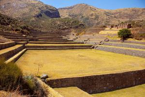Peru Tipon2 Peru Tipon2