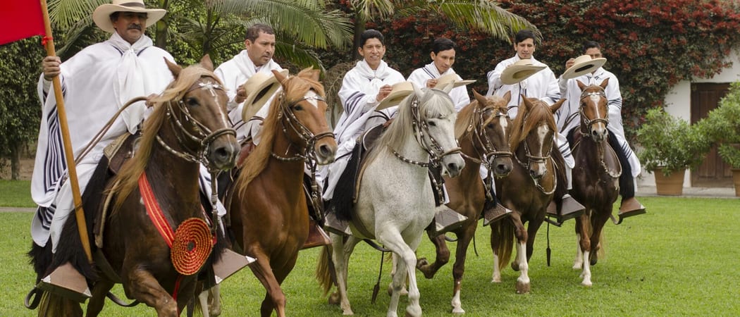 Peruvian Paso horses Explorandes