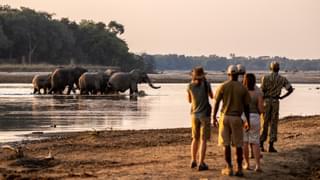 Pic 4 Remote Africa Safaris Walking Safari1
