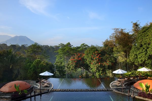 Pool Mesa Stila Java Indonesia Pool Mesa Stila Java Indonesia