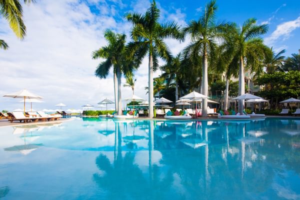 Pool The palms Caribbean Turks and Caicos 2 Pool The palms Caribbean Turks and Caicos 2