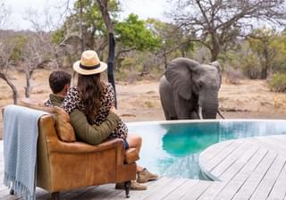 Pool at Siviti with elephant South Africa min