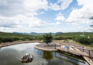 Pool with a view Rockfig Madikwe Safari Lodge
