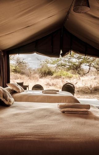 Porini Amboseli view from tent Porini Amboseli view from tent