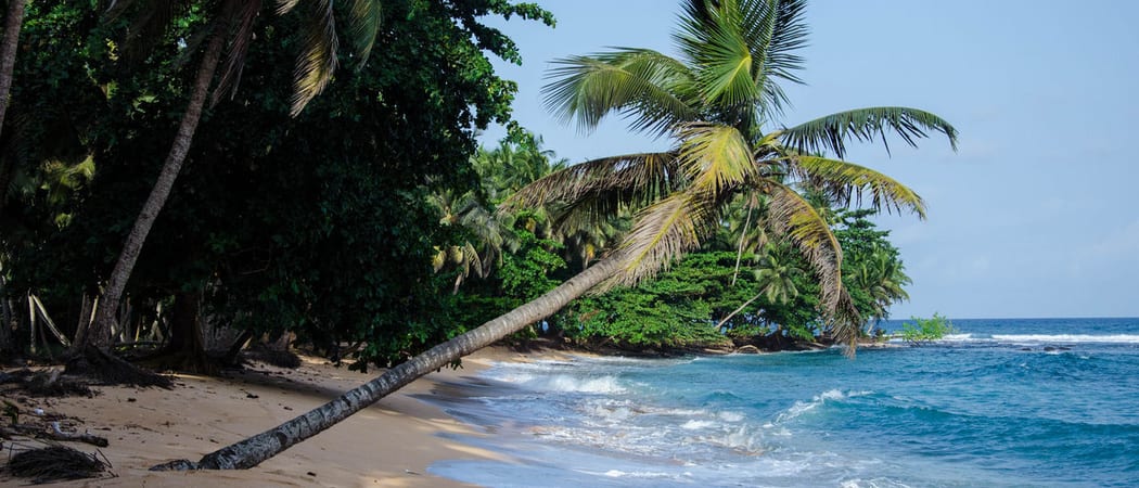 Praia inhame beach