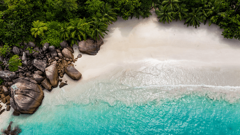 Praslin seychelles Canva Pro