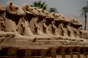 Procession of Sphinxes at Temple of Karnak Luxor Egypt