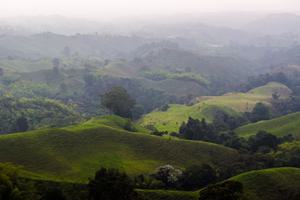 Quindio Coffee Triangle Colombia Quindio Coffee Triangle Colombia