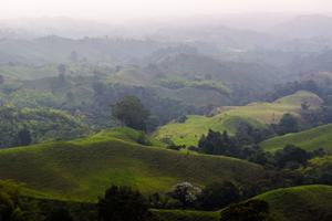 Quindio Coffee Triangle Colombia