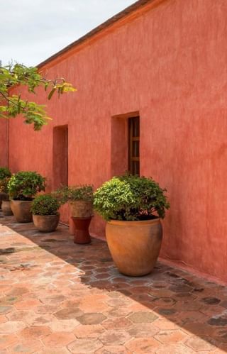Quinta Real Oaxaca colours Quinta Real Oaxaca colours